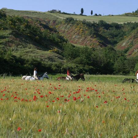 Pensjonat Il Poggio Celle sul Rigo Zewnętrze zdjęcie